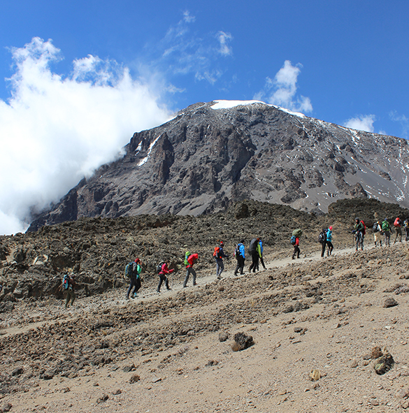 Kilimanjaro Trekking