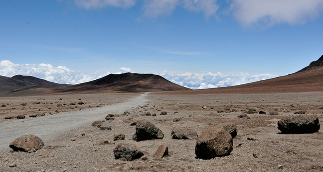 Tanzania Adventure Safari