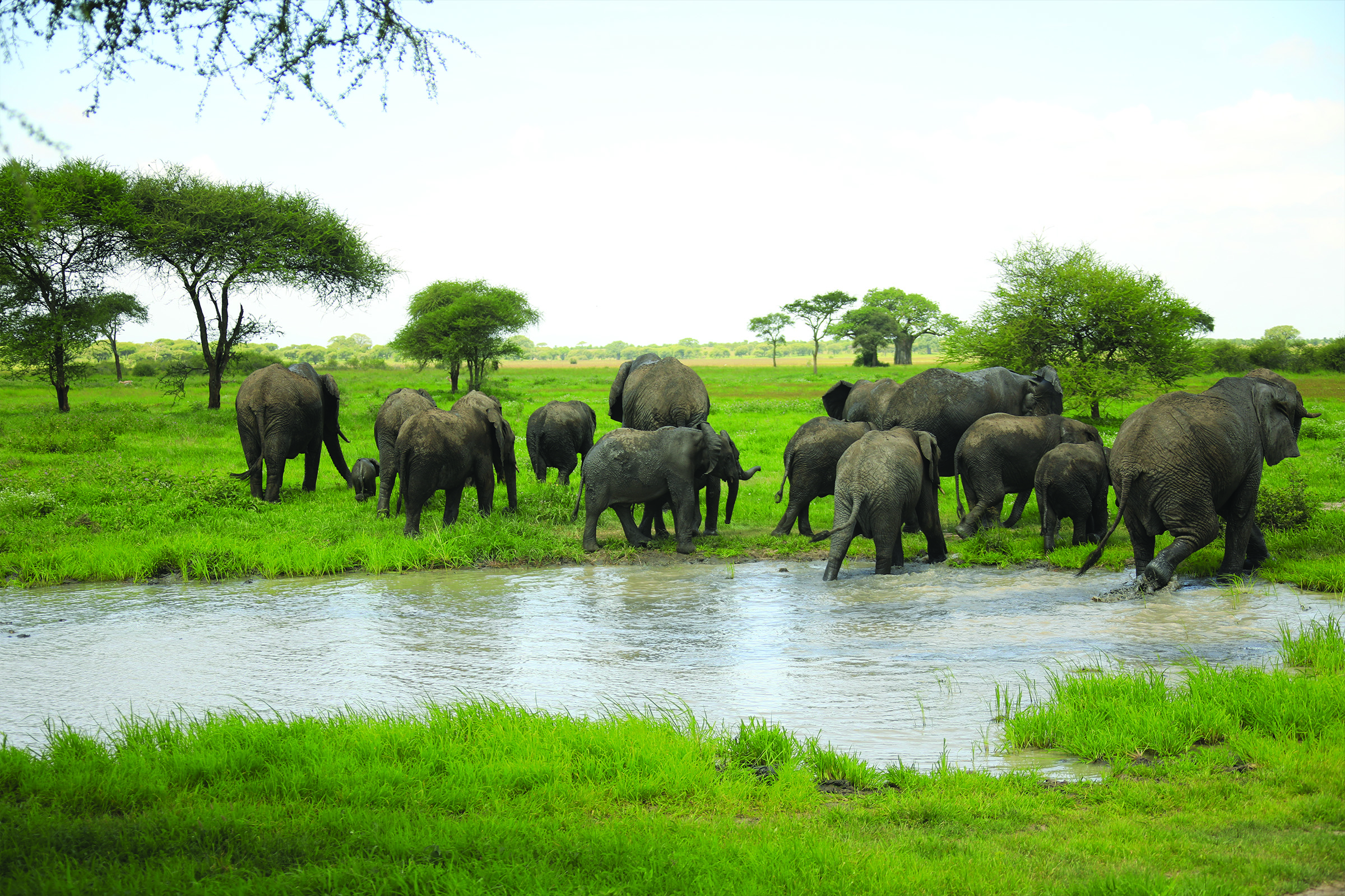 Affordable tanzania