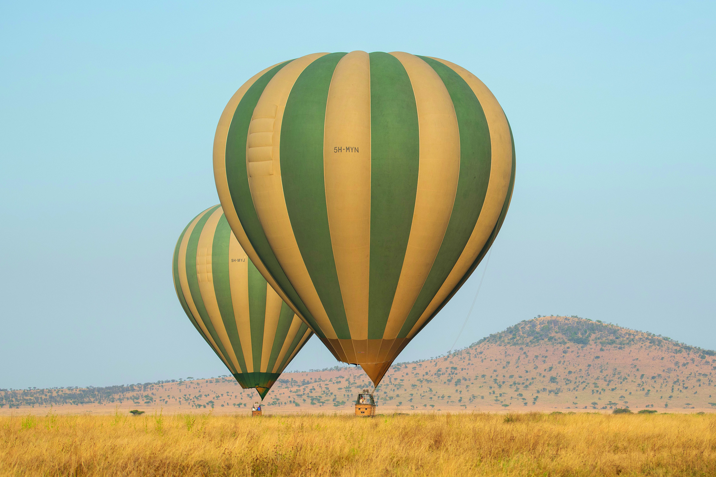 Baloon safari