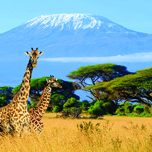 Mt. Kili
