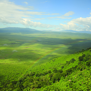 Ngorongoro2