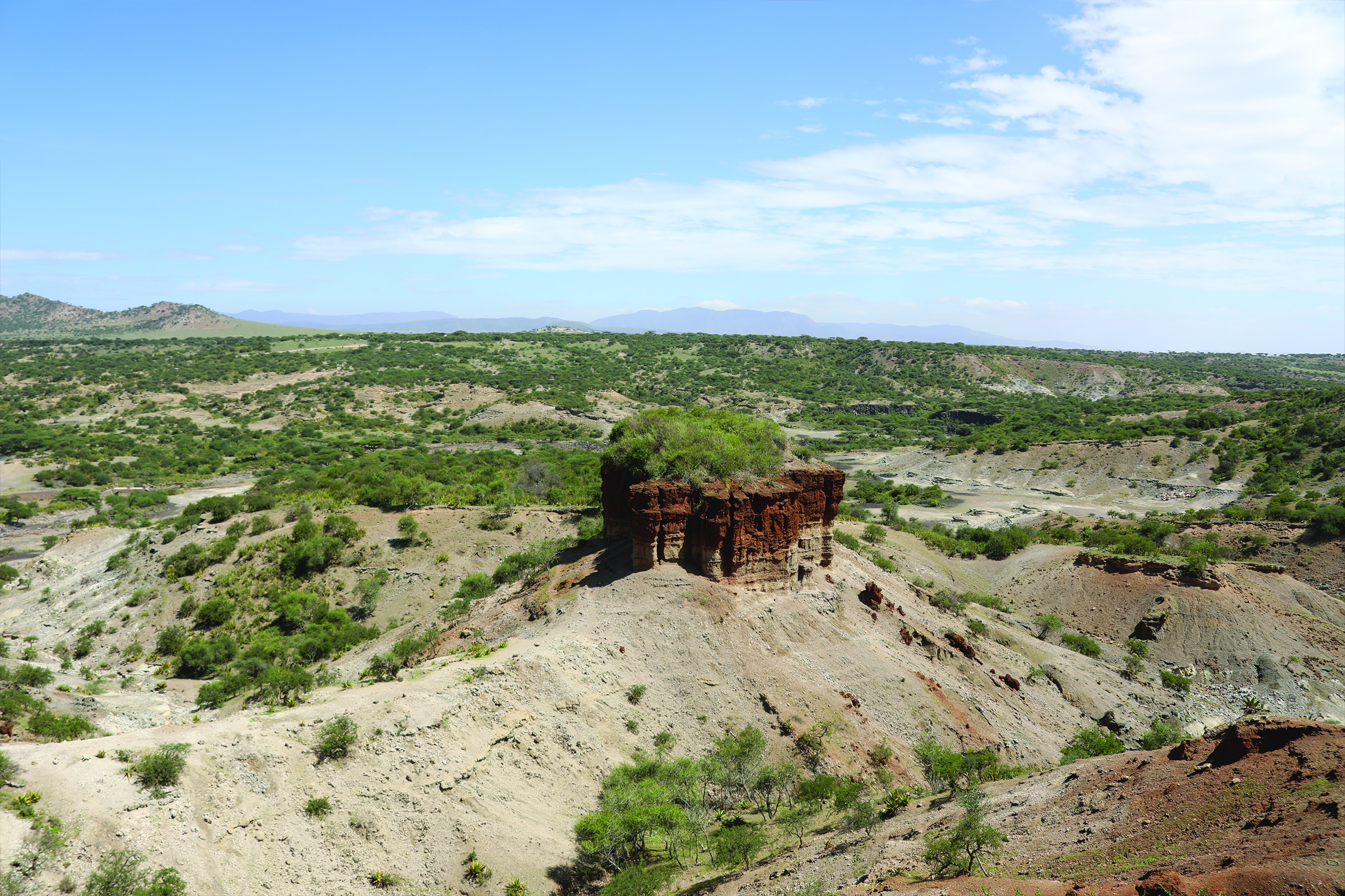 olvduvai gorge